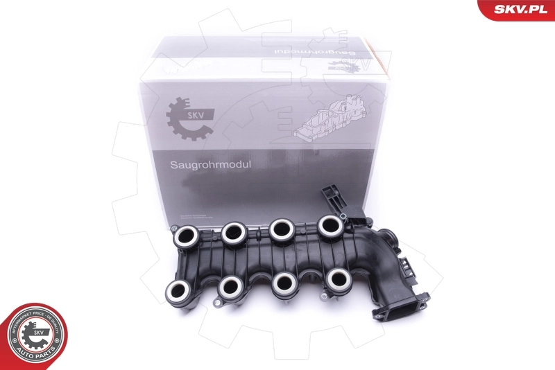 Intake Manifold Module